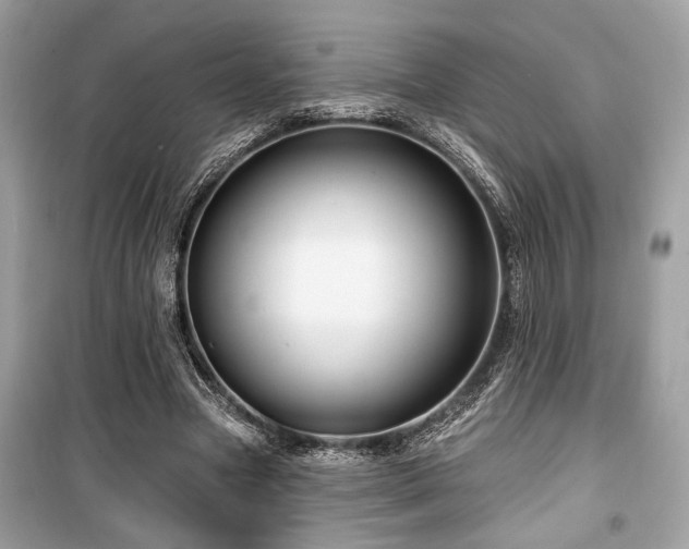 X0000099560537200805161455