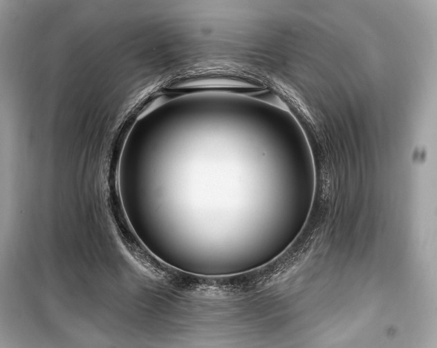 X0000099560538200805161455