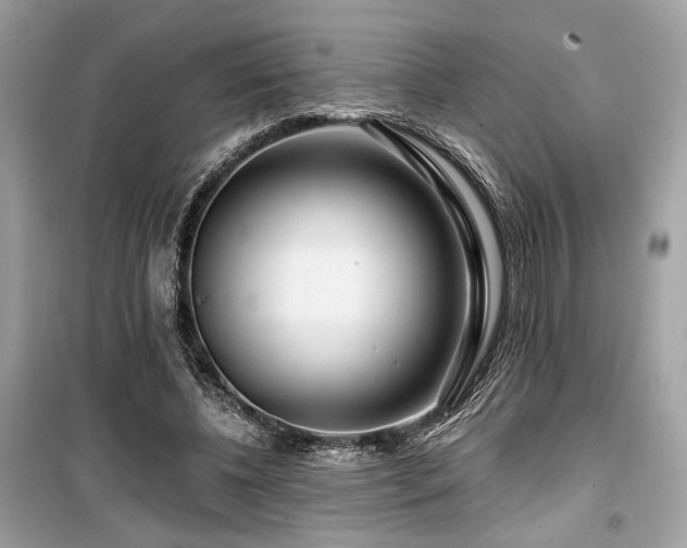 X0000099560540200805161455