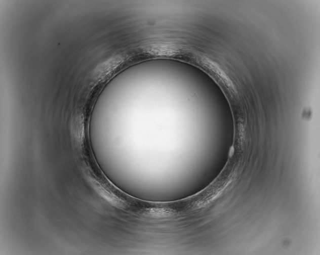 X0000099560541200805161455