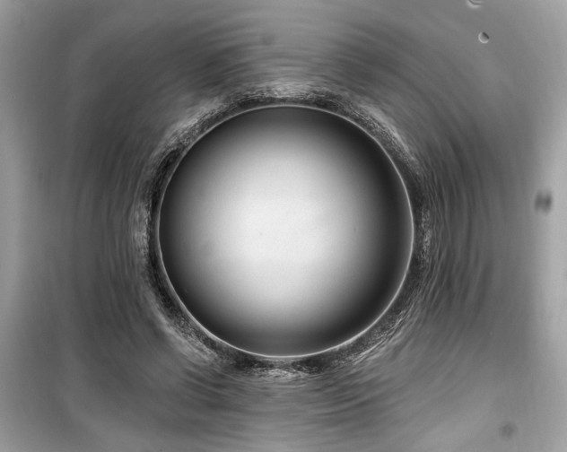 X0000099560542200805161455