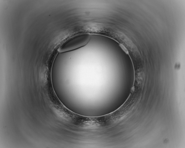 X0000099560544200805161455