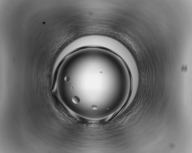 X0000099560546200805161455