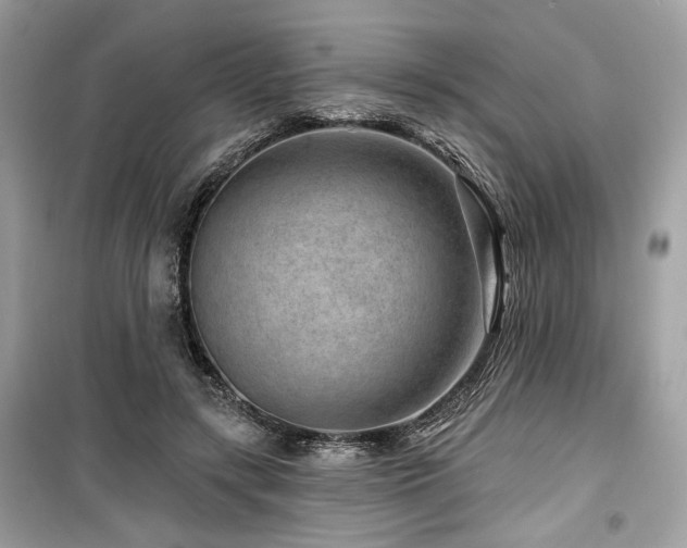 X0000099560547200805161455