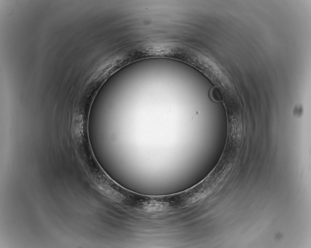 X0000099560549200805161455