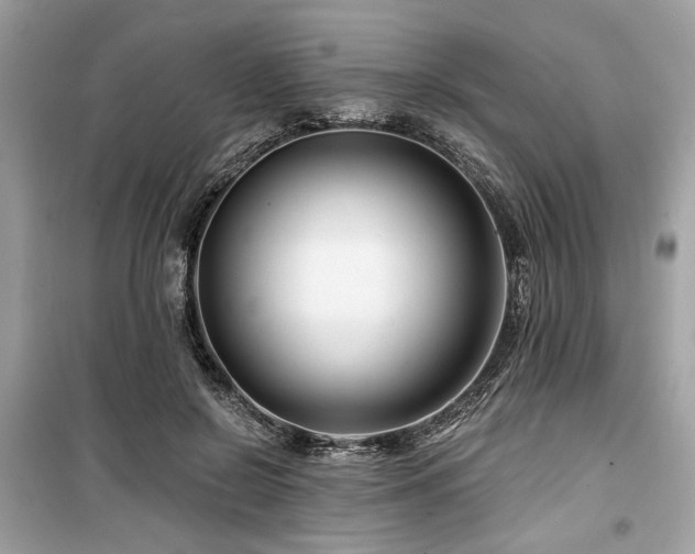 X0000099560550200805161455