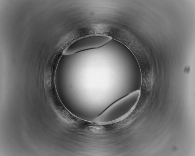 X0000099560552200805161455