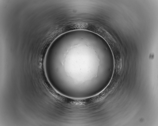 X0000099560553200805161455