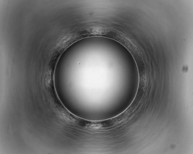 X0000099560554200805161455