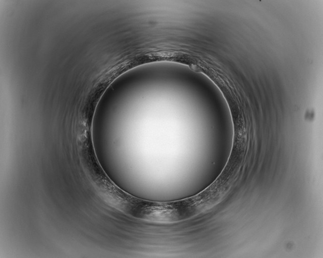 X0000099560555200805161455