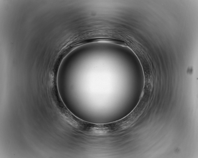 X0000099560556200805161455