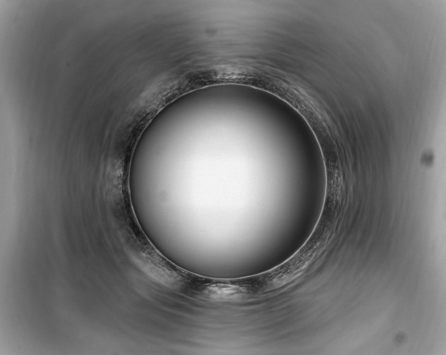 X0000099560557200805161455