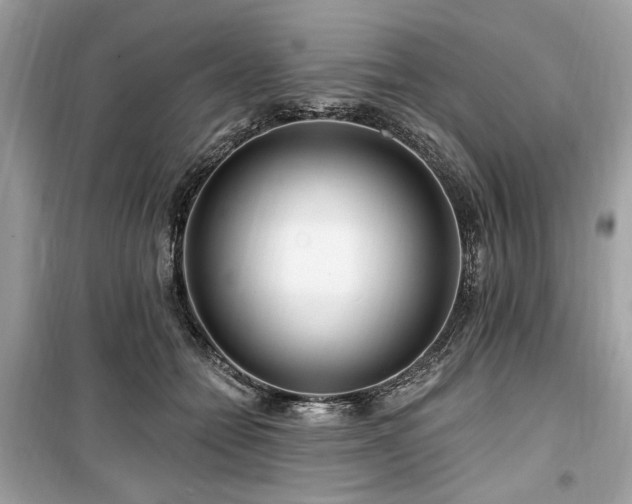 X0000099560558200805161455