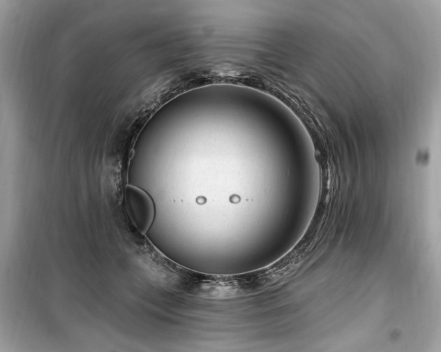 X0000099560559200805161455