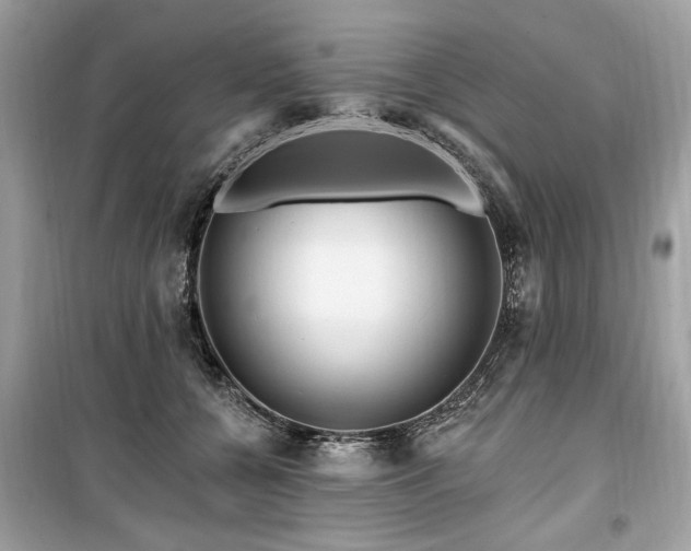 X0000099560560200805161455