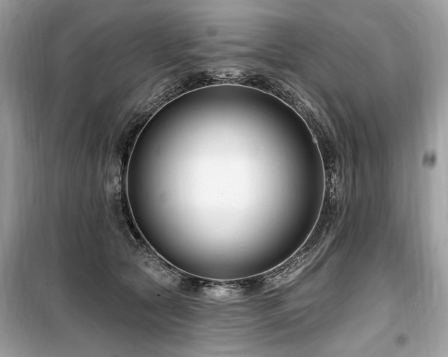 X0000099560561200805161455