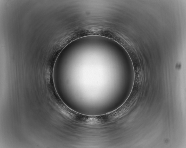 X0000099560562200805161455