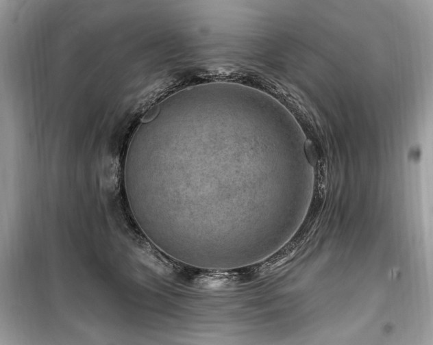 X0000099560563200805161455