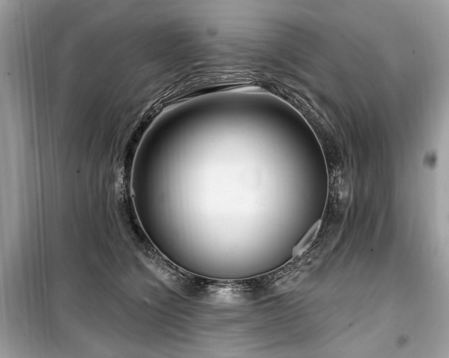 X0000099560564200805161455