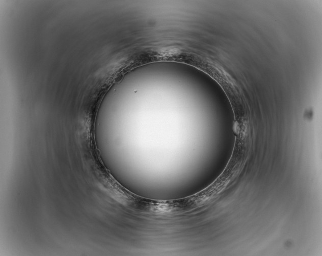 X0000099560565200805161455