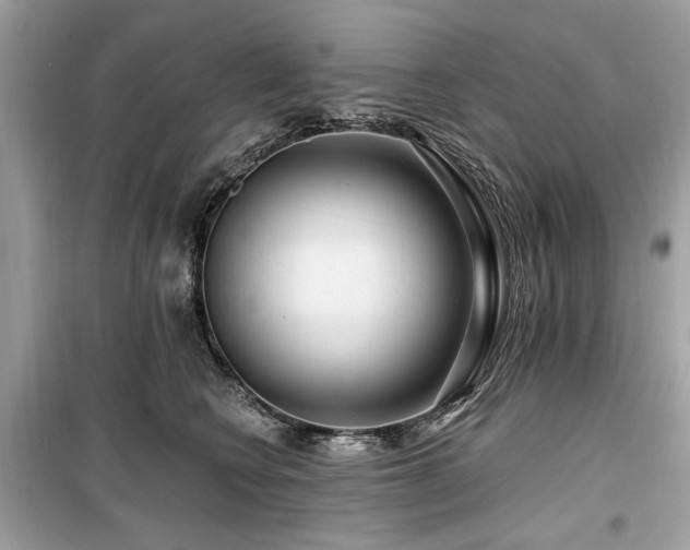 X0000099560566200805161455