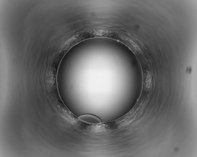 X0000099560569200805161455