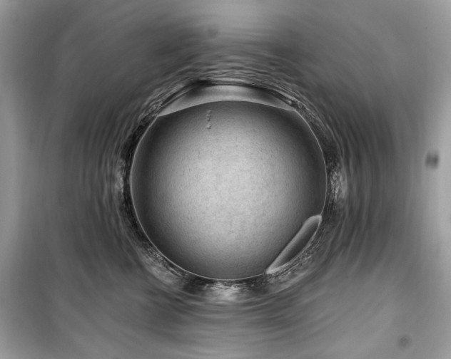 X0000099560570200805161455