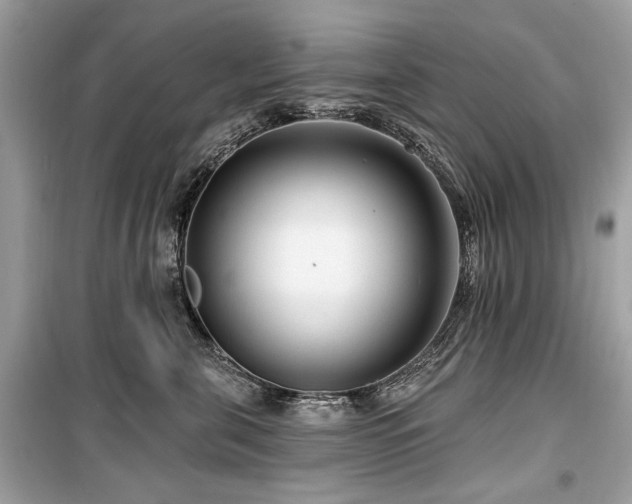 X0000099560571200805161455