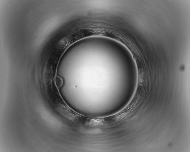 X0000099560573200805161456