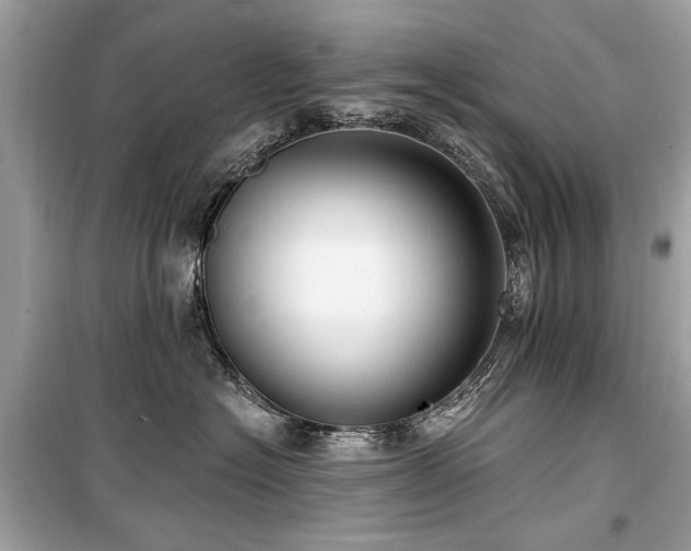 X0000099560574200805161456