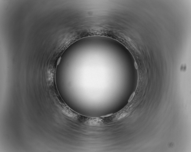 X0000099560576200805161456