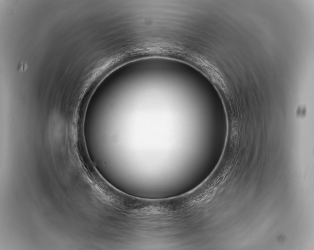 X0000099560578200805161455