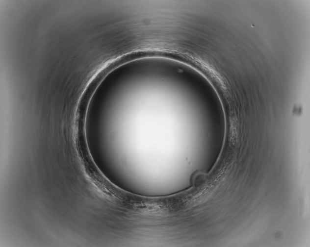 X0000099560580200805161455