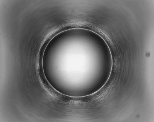 X0000099560582200805161455