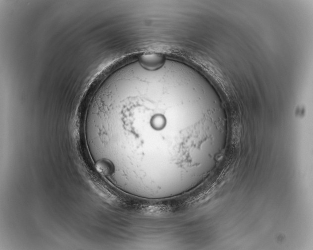 X0000099560584200805161455