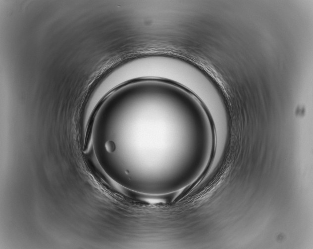 X0000099560585200805161455