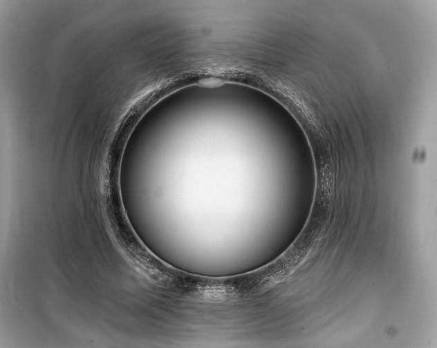 X0000099560587200805161455