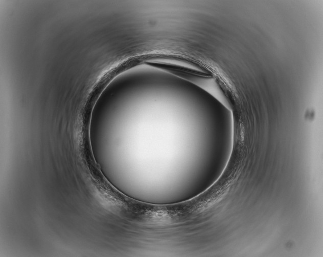 X0000099560588200805161455