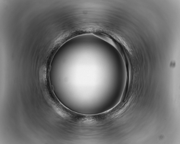 X0000099560589200805161455