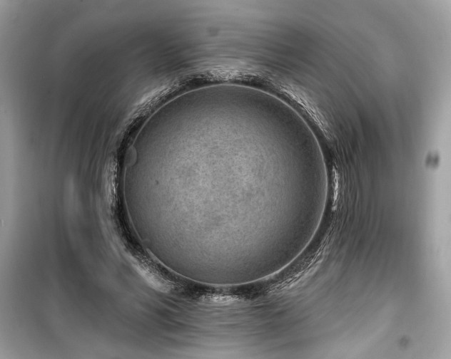 X0000099560590200805161455