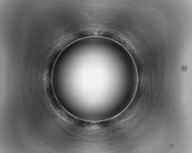 X0000099560594200805161455