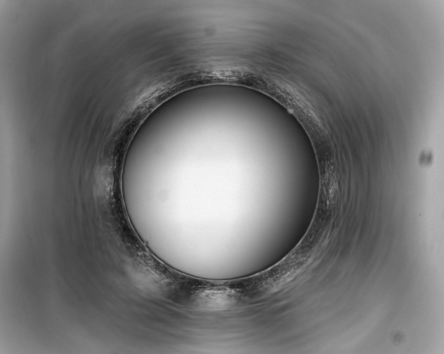 X0000099560595200805161455