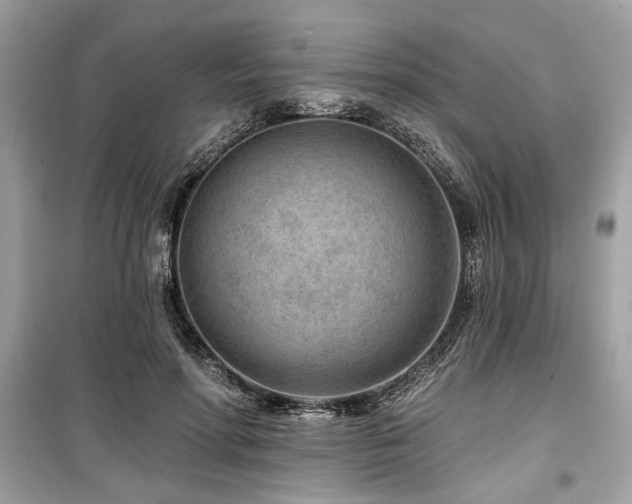 X0000099560598200805161455