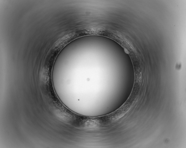 X0000099560599200805161454