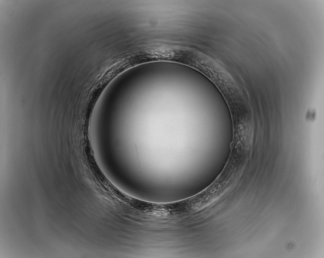 X0000099560600200805161454