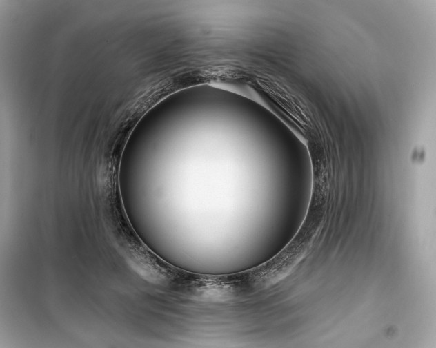 X0000099560601200805161454