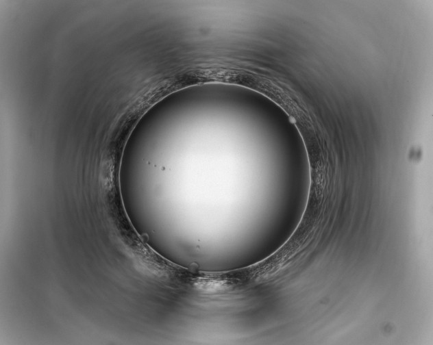 X0000099560602200805161454