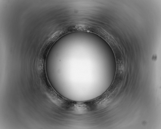 X0000099560603200805161454