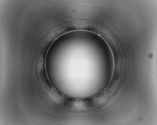 X0000099560604200805161454