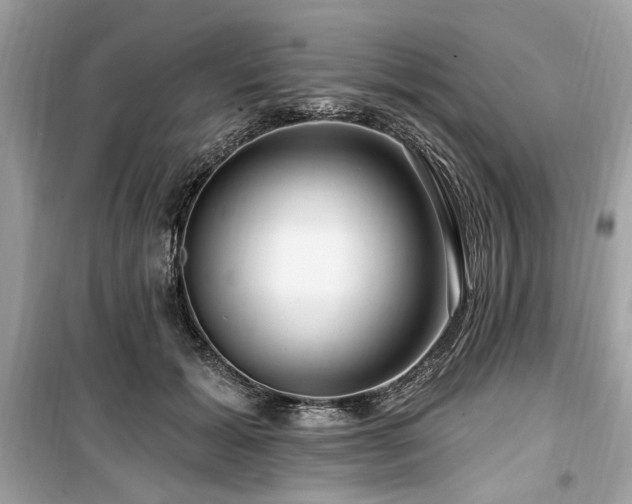 X0000099560605200805161454